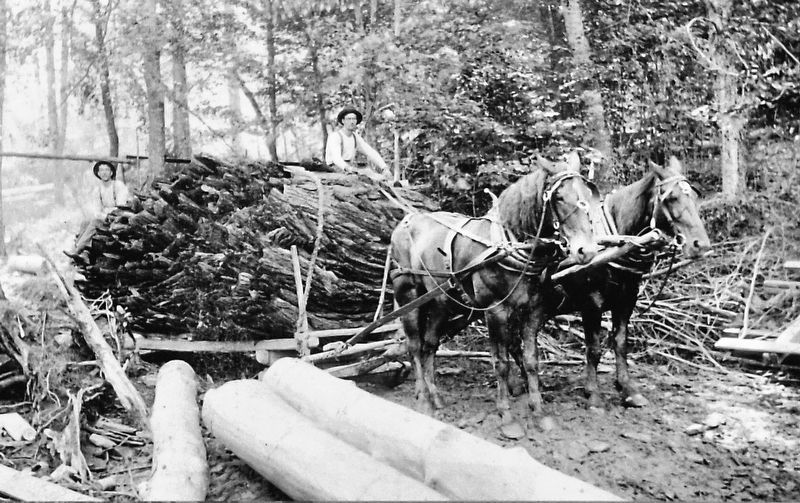 Marker detail: A load of hemlock destined for a local tannery is hauled from the woods near Mina image. Click for full size.