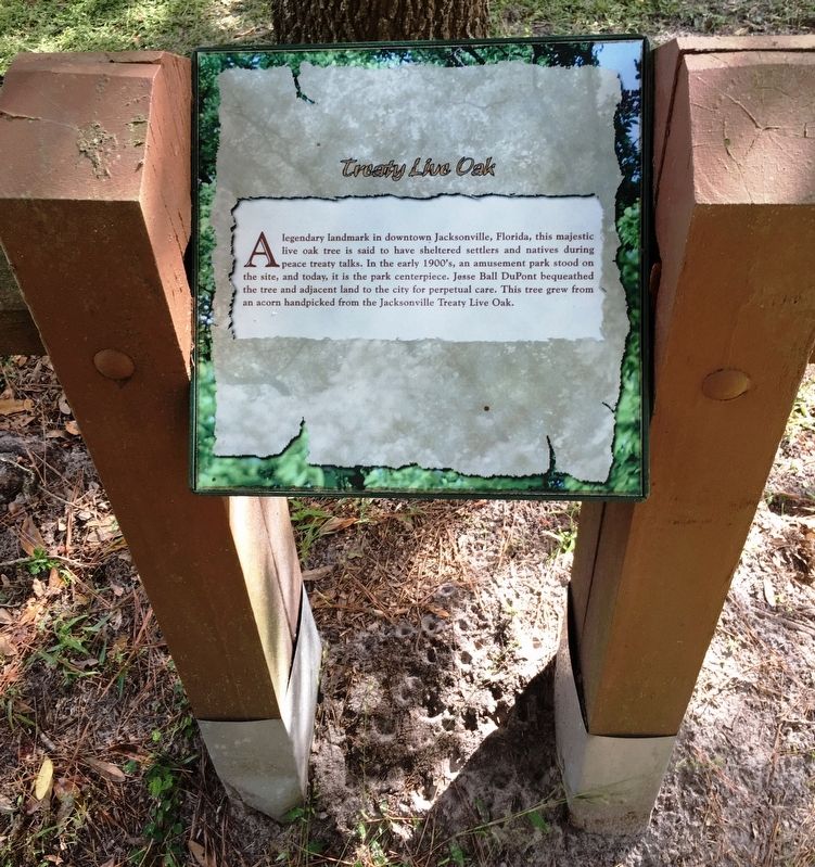 Treaty Live Oak Marker. Click for full size. Treaty Live Oak Marker image. Click for full size.