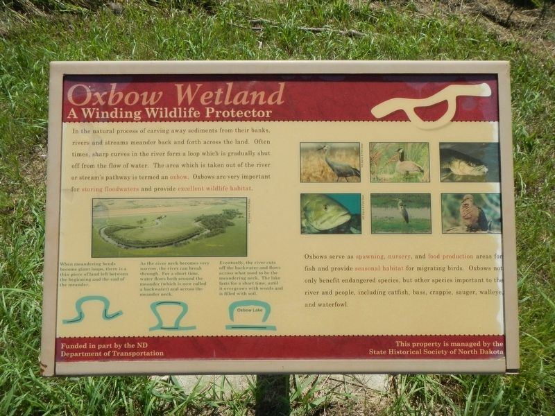 Oxbow Wetland Marker image. Click for full size.