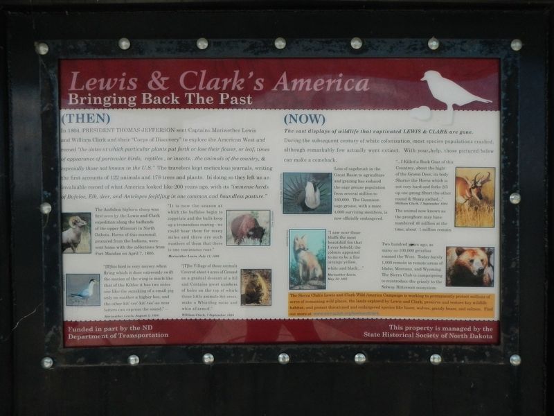 Lewis & Clark's America Marker image. Click for full size.