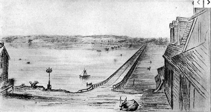 The Cayuga Long Bridge image. Click for full size.