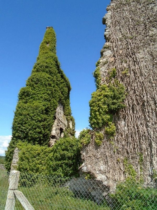 Dromineer Castle Ruins image. Click for full size.