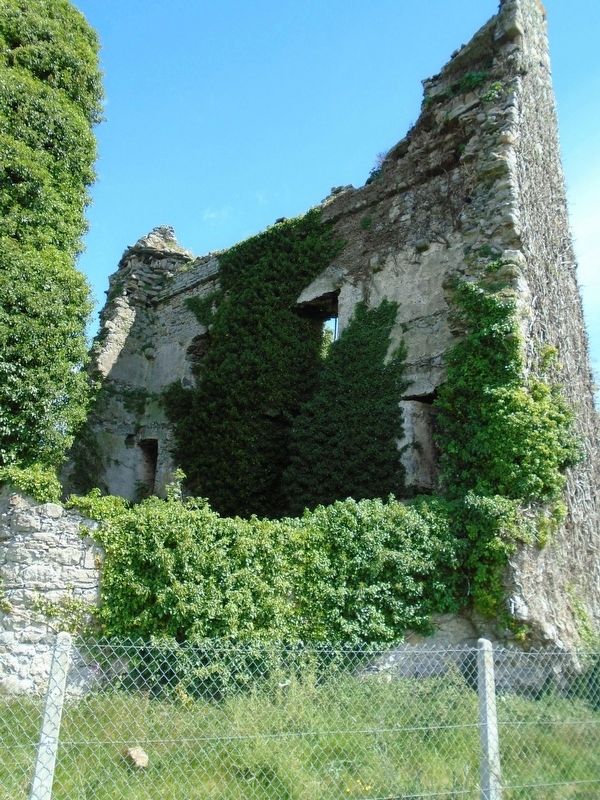 Dromineer Castle Ruins image. Click for full size.