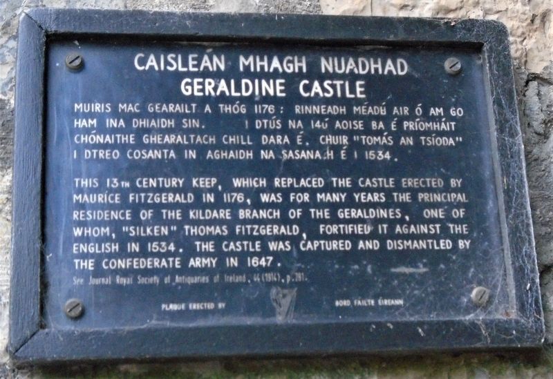 Caislen mhagh nuadhad / Geraldine Castle Marker image. Click for full size.