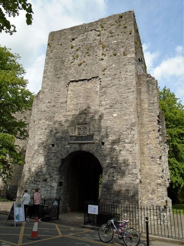 Caislen mhagh nuadhad / Geraldine Castle Keep image. Click for full size.