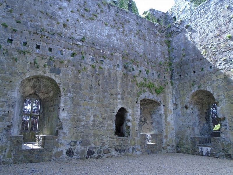 Caislen mhagh nuadhad / Geraldine Castle Interior image. Click for full size.