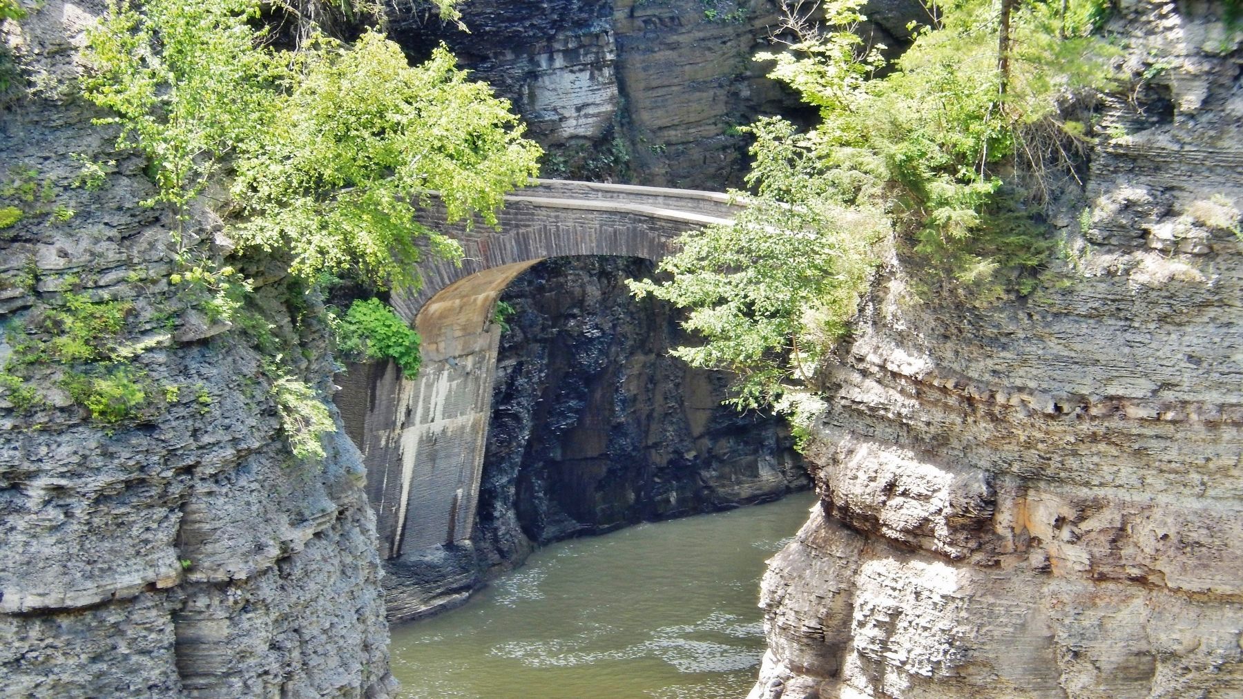 Lower Falls Footbridge (<i>view from Genesee River Gorge Trail</i>) image. Click for full size.