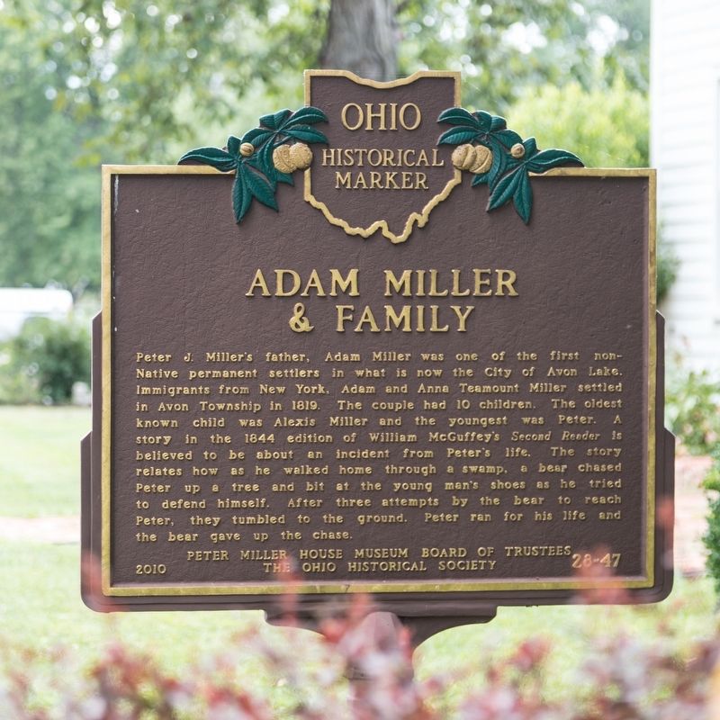 Adam Miller & Family side of marker image. Click for full size.