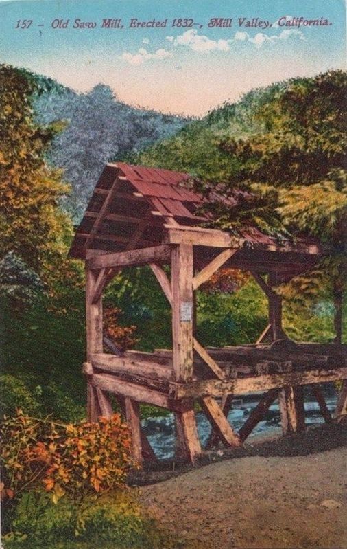 <i>Old Saw Mill, erected 1832 - Mill Valley, California</i> image. Click for full size.