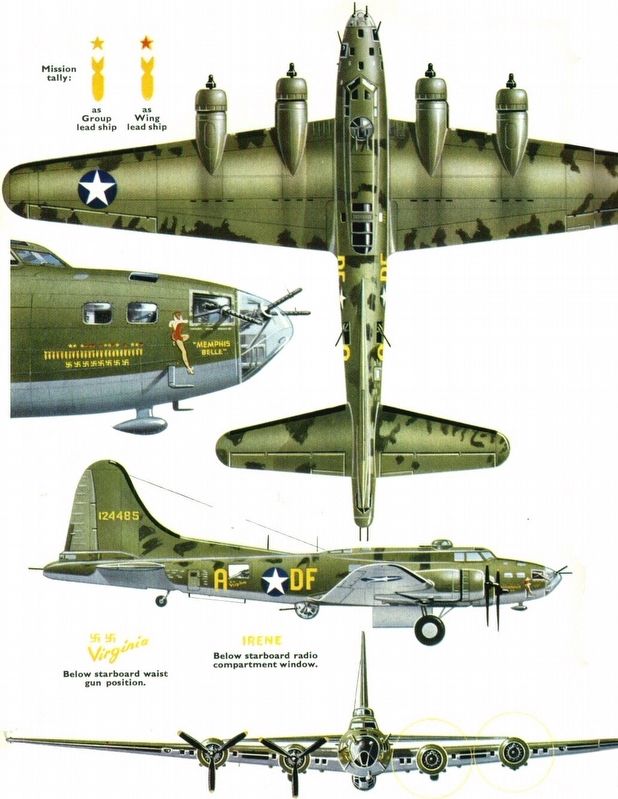 <i>Memphis Belle</i> camouflage pattern image. Click for full size.