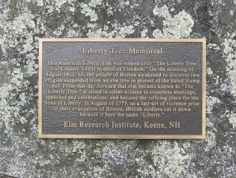 Liberty Tree Memorial image. Click for full size.
