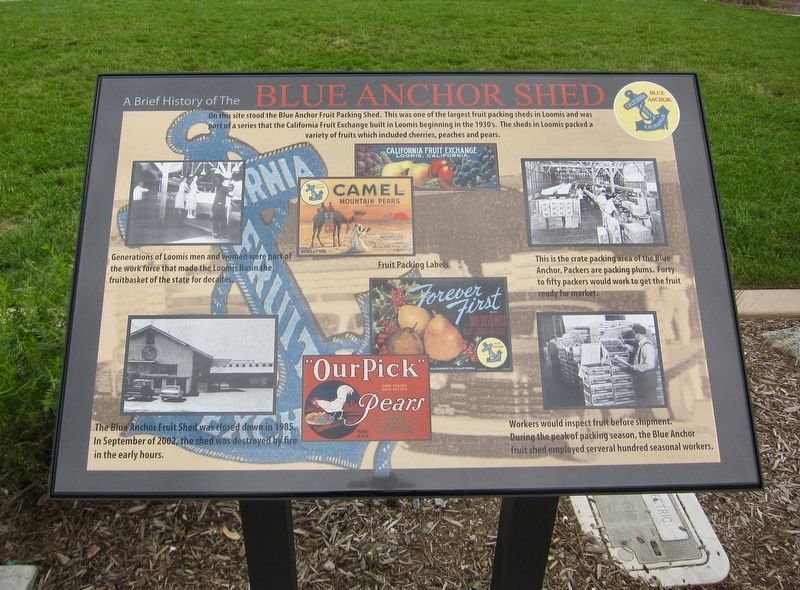 A Brief History of the Blue Anchor Shed Marker image. Click for full size.
