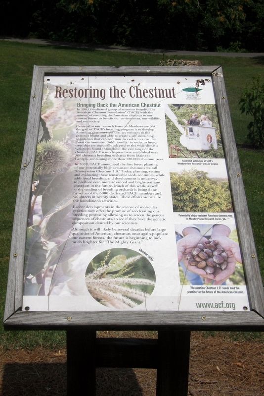 Restoring the Chestnut Marker. Click for full size. Restoring the Chestnut Marker image. Click for full size.