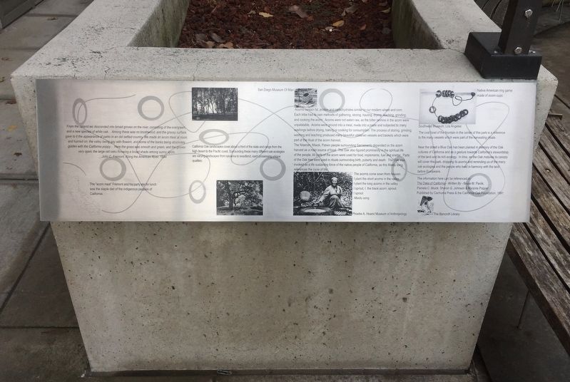 Acorns, Oaks, and the Native Peoples Marker. Click for full size. Acorns, Oaks, and the Native Peoples Marker image. Click for full size.