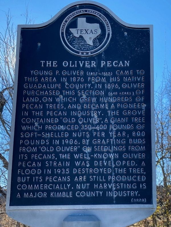 The Oliver Pecan Marker image. Click for full size.