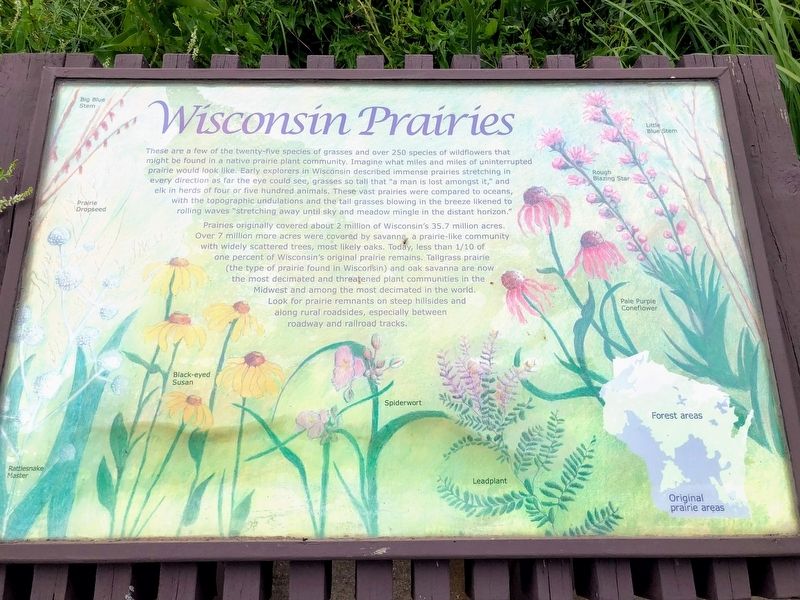 Wisconsin Prairies Marker image. Click for full size.