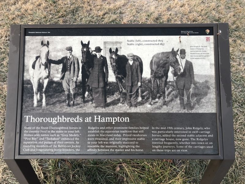 Thoroughbreds at Hampton Marker image. Click for full size.