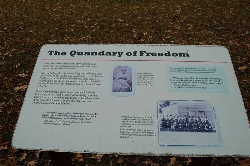 The Quandry of Freedom Marker. Click for full size. The Quandry of Freedom Marker image. Click for full size.