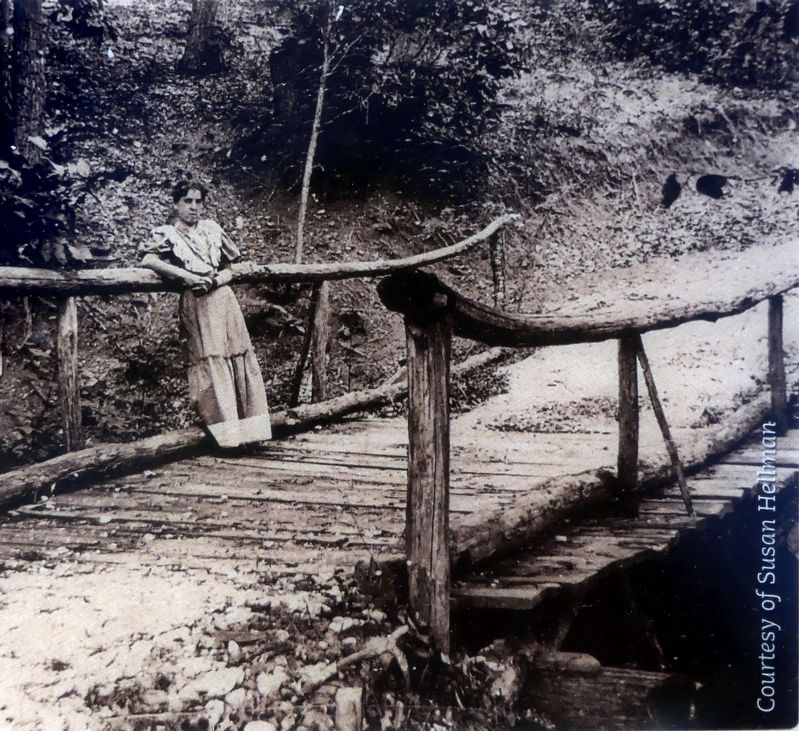 Mary Harrison c. 1900. Click for full size. Mary Harrison c. 1900 image. Click for full size.