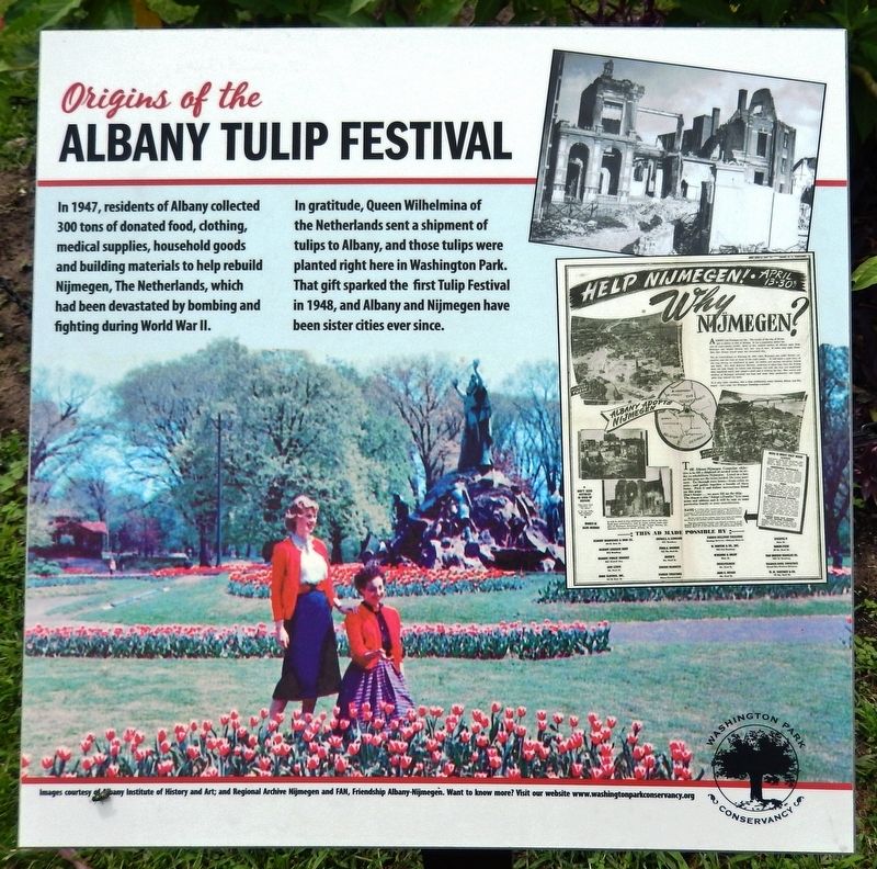 Origins of the Albany Tulip Festival Marker image. Click for full size.