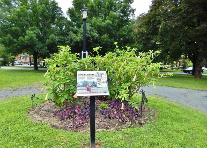 Albany Tulip Festival Marker  <i>view looking southwest<br>(Washington Park Rd. in background)</i> image. Click for full size.