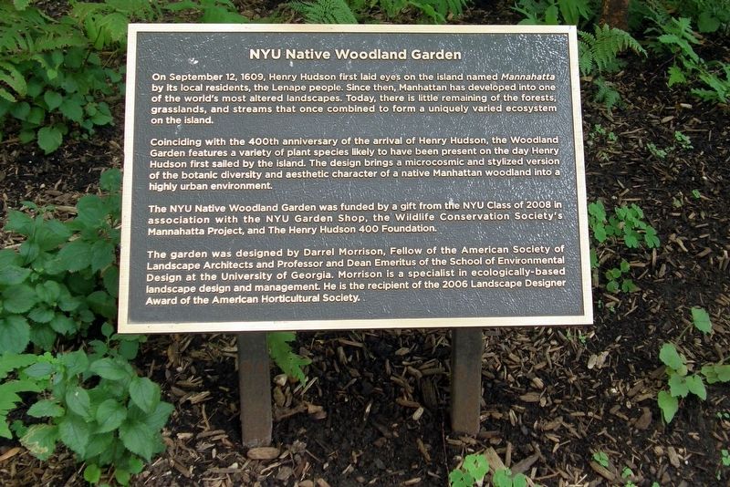 NYU Native Woodland Garden Marker. Click for full size. NYU Native Woodland Garden Marker image. Click for full size.