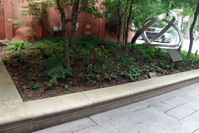 NYU Native Woodland Garden Marker site. Click for full size. NYU Native Woodland Garden Marker site image. Click for full size.