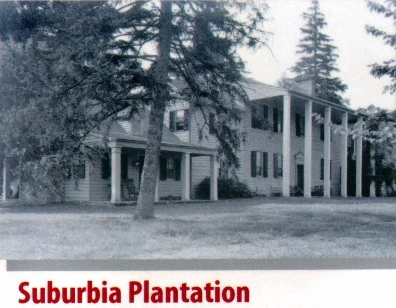 Suburbia Plantation. Click for full size. Suburbia Plantation image. Click for full size.