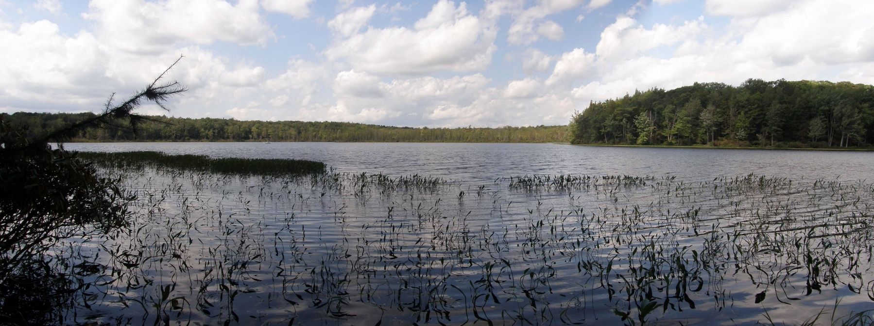 Lake Lacawac image. Click for full size.
