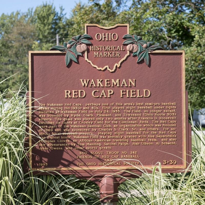 Wakeman Red Cap Field Marker image. Click for full size.