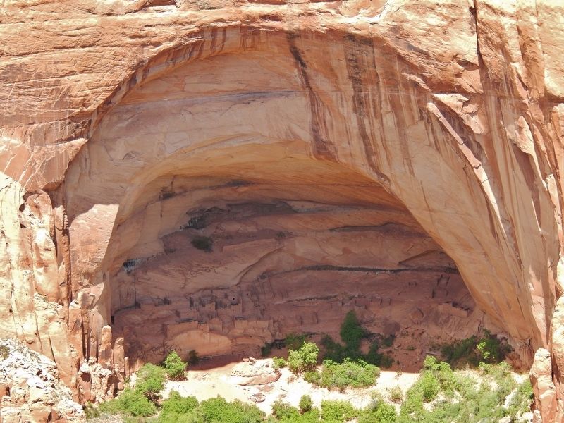 Betatakin Cliff Dwelling Alcove (<i>view from near marker</i>) image. Click for full size.