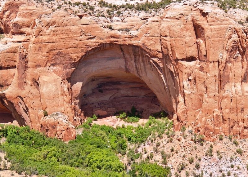 Betatakin Cliff Dwelling Alcove (<i>view from near marker</i>) image. Click for full size.