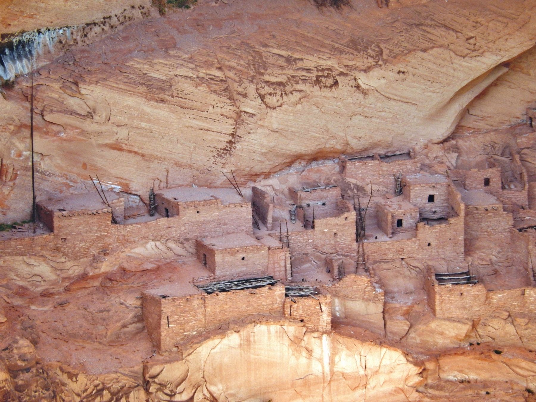 Betatakin Cliff Dwelling Alcove detail<br><i>(telephoto view from near marker)</i> image. Click for full size.