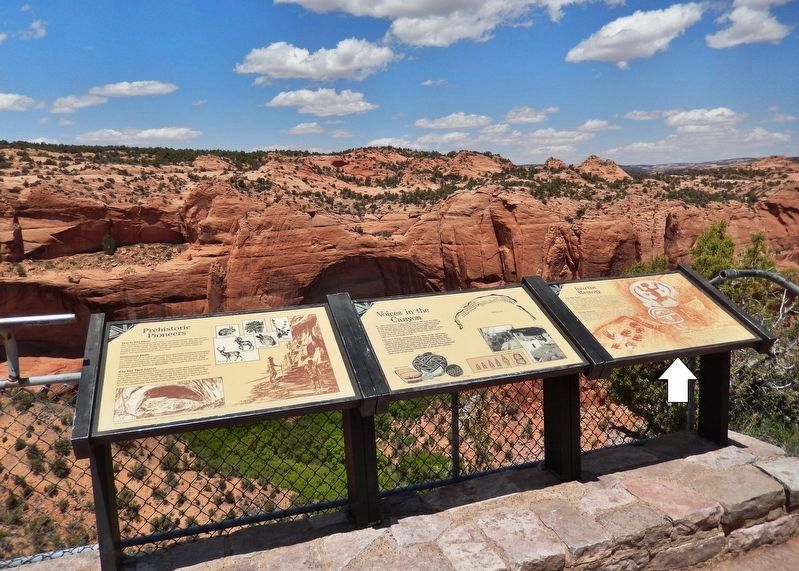 Into The Memory Marker <i>wide view<br>(rightmost of 3 related markers at this site)</i>. Click for full size. Into The Memory Marker <i>wide view<br>(rightmost of 3 related markers at this site)</i> image. Click for full size.