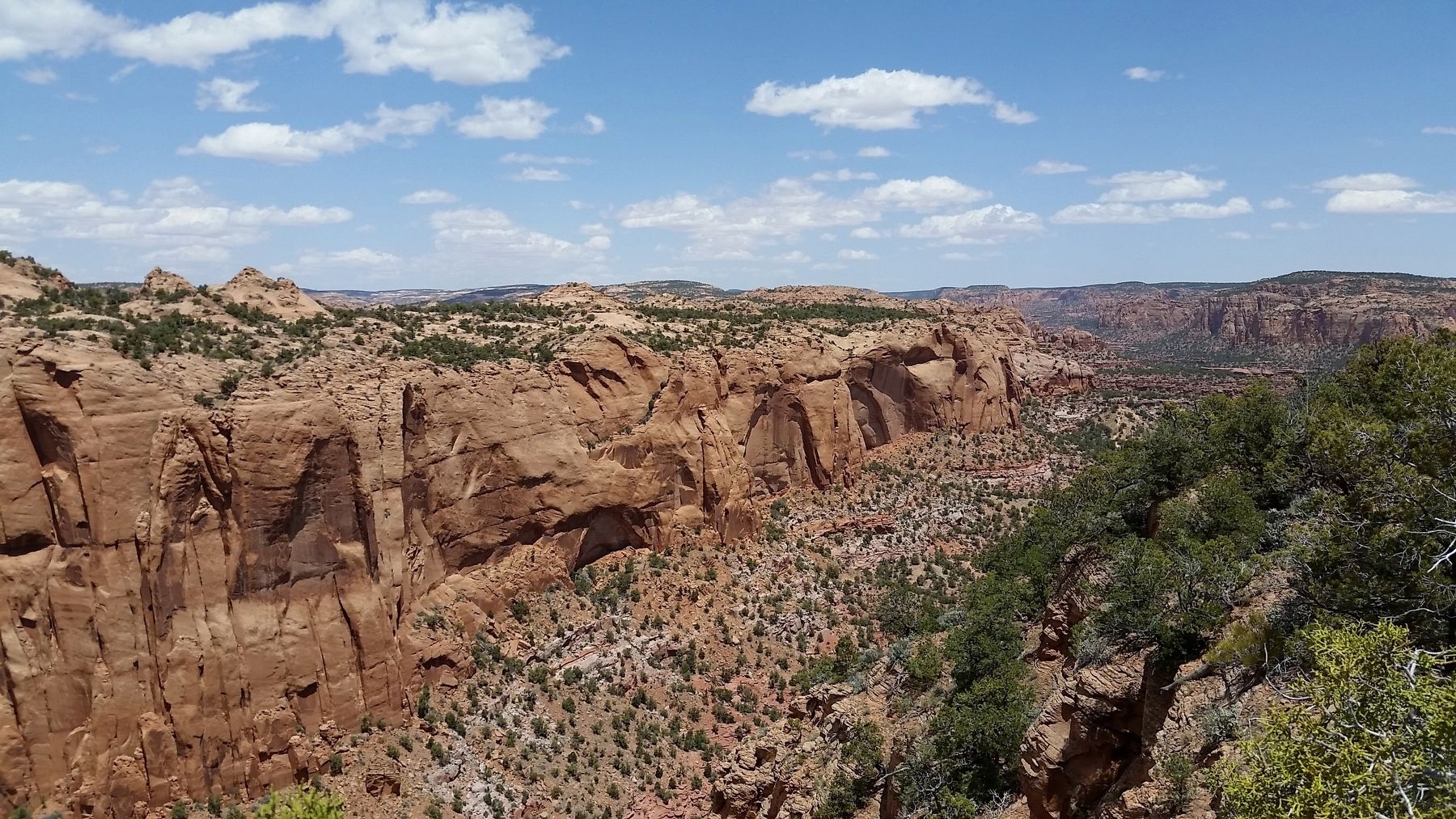 Betatakin Canyon (<i>view northeast from marker</i>) image. Click for full size.