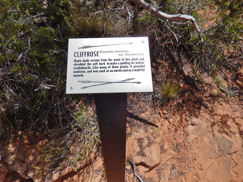 Cliffrose Marker (<i>wide view</i>) image. Click for full size.