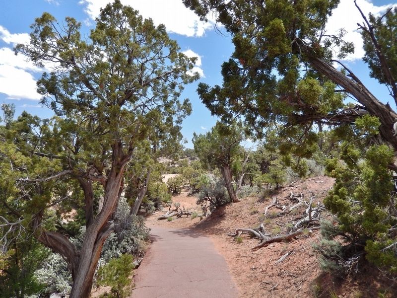 The Sandal Trail (<i>view from near marker</i>). Click for full size. The Sandal Trail (<i>view from near marker</i>) image. Click for full size.