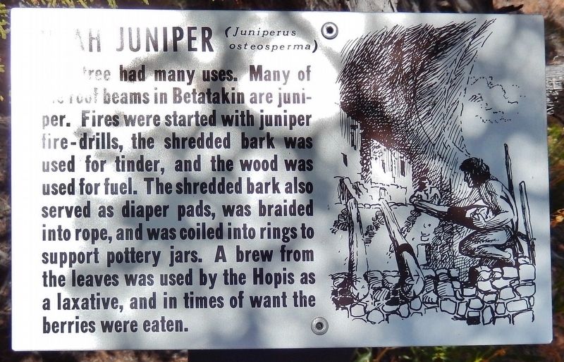 Utah Juniper Marker. Click for full size. Utah Juniper Marker image. Click for full size.