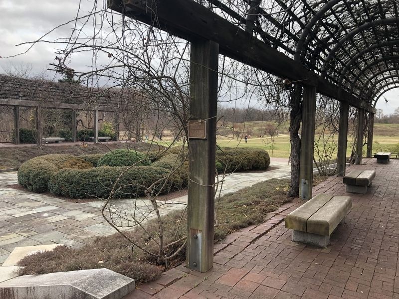 The Knot Garden. Click for full size. The Knot Garden image. Click for full size.