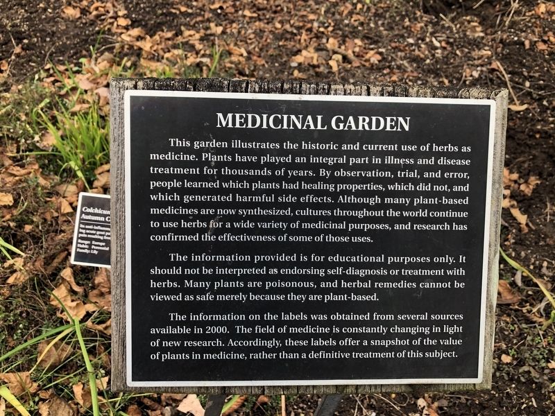 Medicinal Garden Marker. Click for full size. Medicinal Garden Marker image. Click for full size.