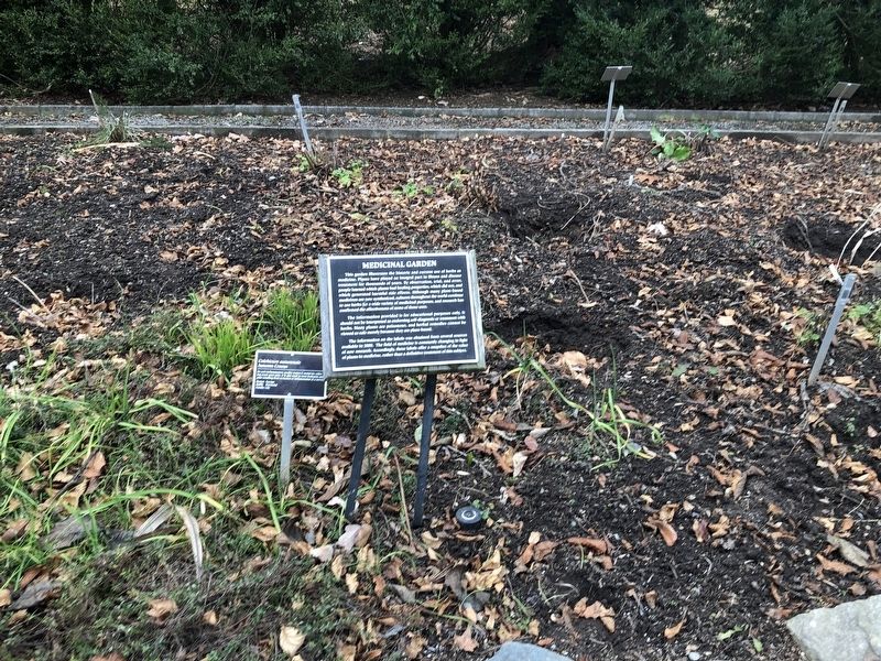 Medicinal Garden Marker. Click for full size. Medicinal Garden Marker image. Click for full size.