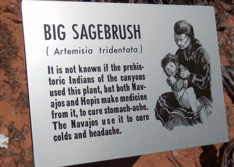 Big Sagebrush Marker image. Click for full size.