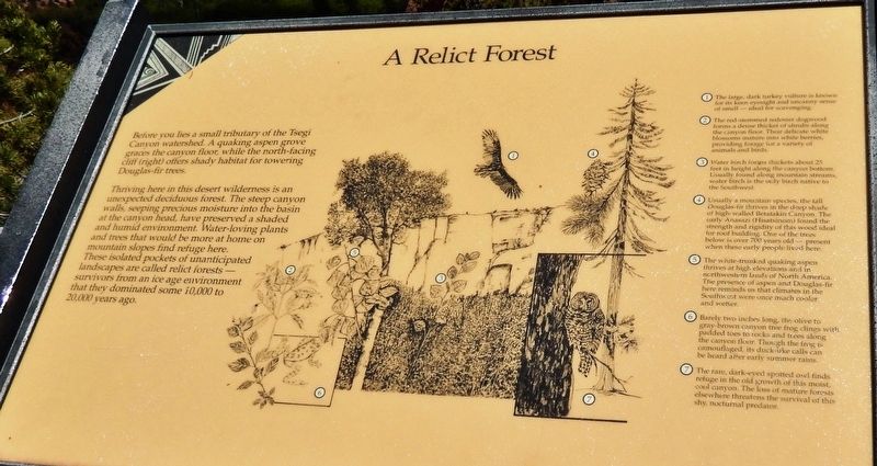 A Relict Forest Marker image. Click for full size.