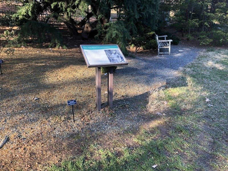 The Man Who Loved Conifers Marker. Click for full size. The Man Who Loved Conifers Marker image. Click for full size.