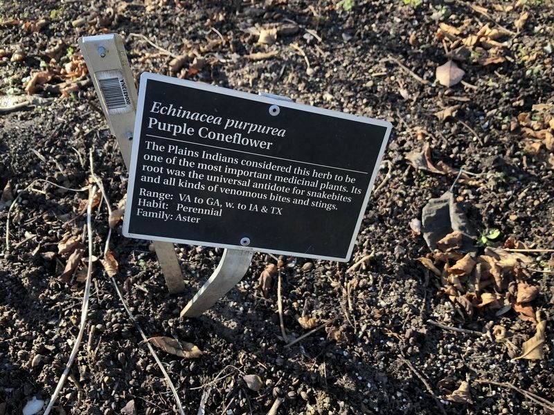 <i>Echinacea purpurea</i> Marker. Click for full size. <i>Echinacea purpurea</i> Marker image. Click for full size.