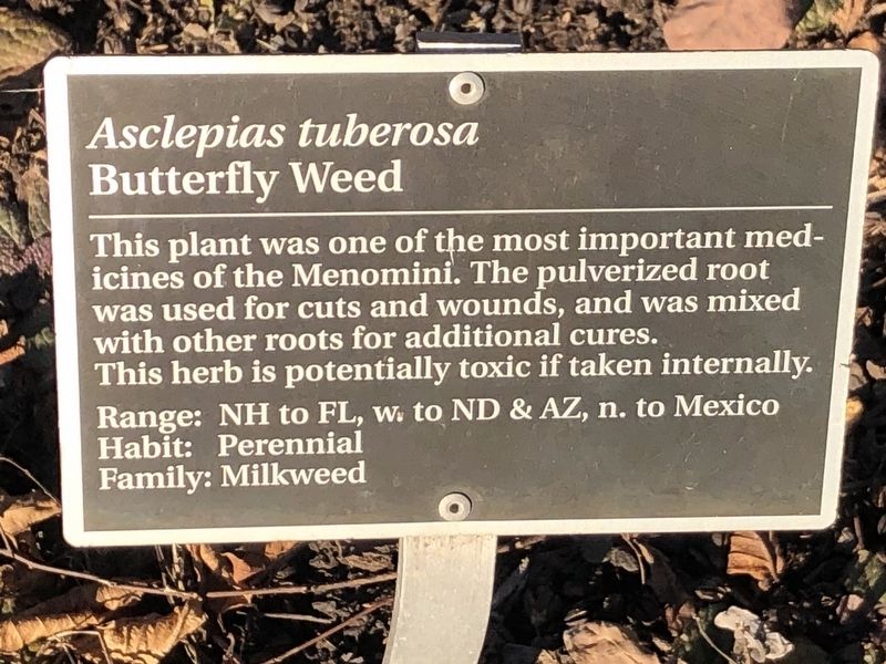 <i>Asclepias tuberosa</i> Marker. Click for full size. <i>Asclepias tuberosa</i> Marker image. Click for full size.