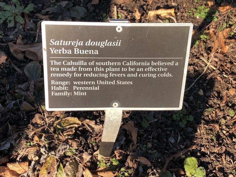 <i>Satureja douglasii</i> Marker image. Click for full size.