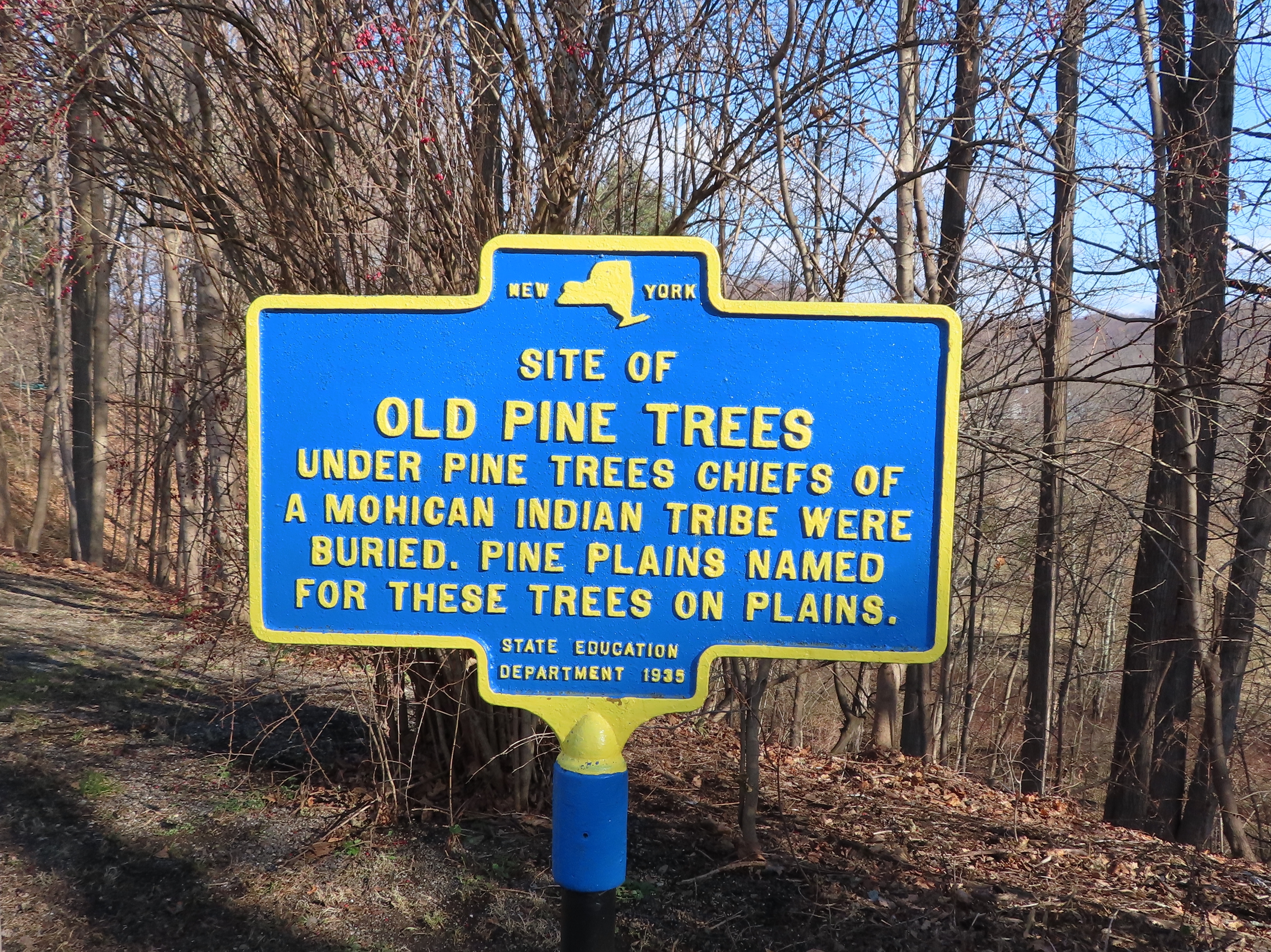 Old Pine Trees Marker