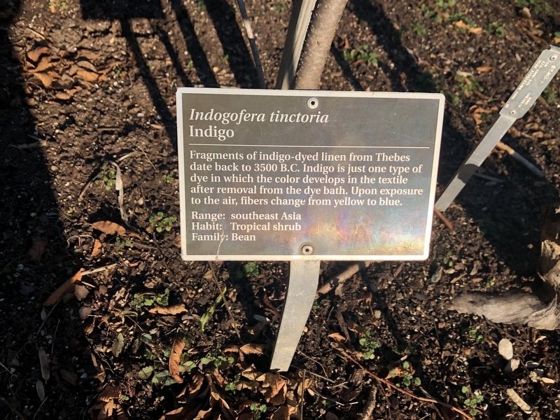 <i>Indogofera tinctoria</i> Marker. Click for full size. <i>Indogofera tinctoria</i> Marker image. Click for full size.