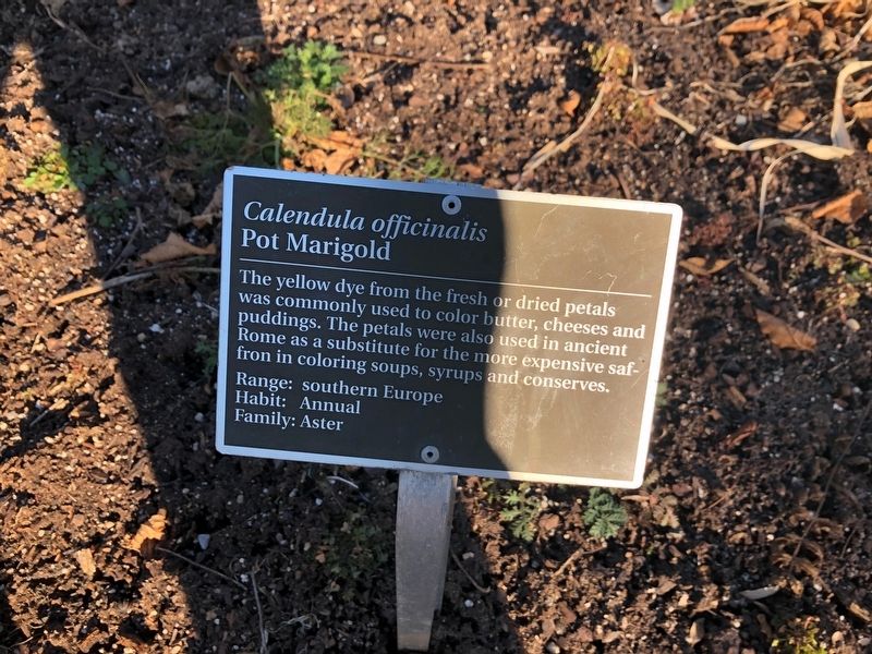 <i>Calendula officinalis</i> Marker. Click for full size. <i>Calendula officinalis</i> Marker image. Click for full size.